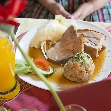 Berghotel Predigstuhl 3* Bad Goisern