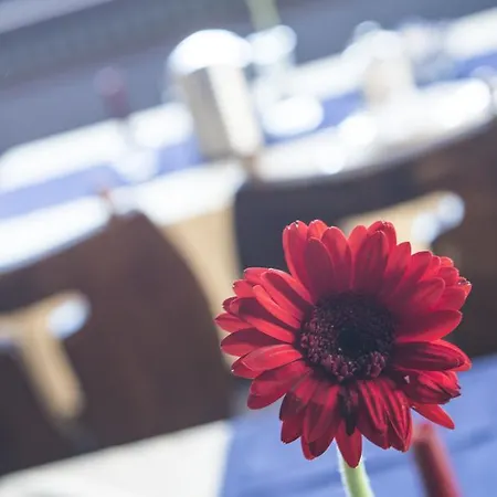 Berghotel Predigstuhl 3*