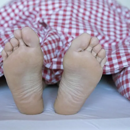 Ξενοδοχείο Berghotel Predigstuhl