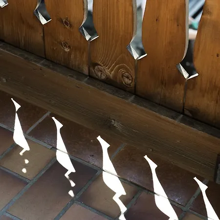 Berghotel Predigstuhl Ξενοδοχείο