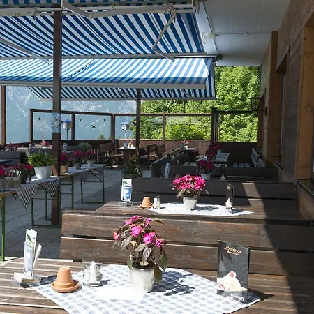 Berghotel Predigstuhl 3* Bad Goisern