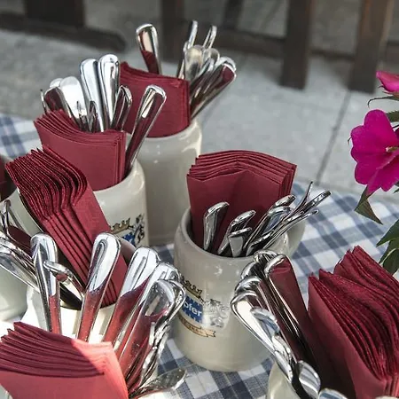 Ξενοδοχείο Berghotel Predigstuhl