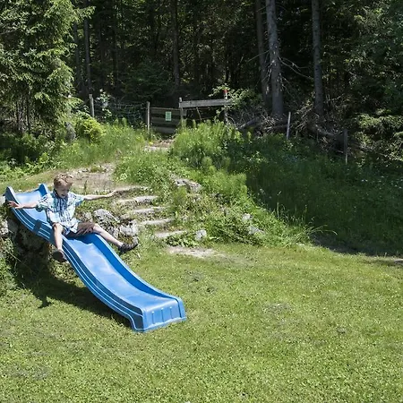 Berghotel Predigstuhl