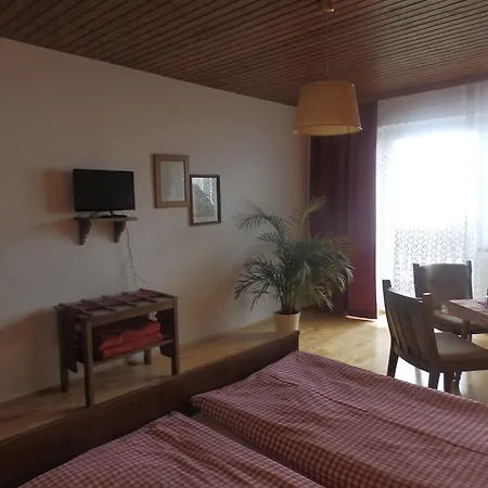 Ξενοδοχείο Berghotel Predigstuhl 3*