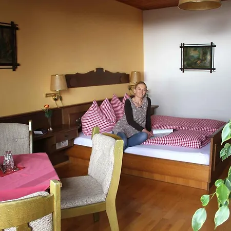 Berghotel Predigstuhl 3*