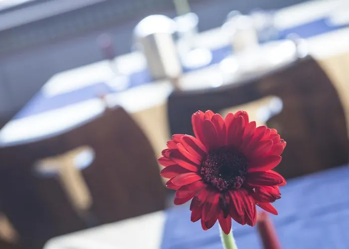 Berghotel Predigstuhl 3*