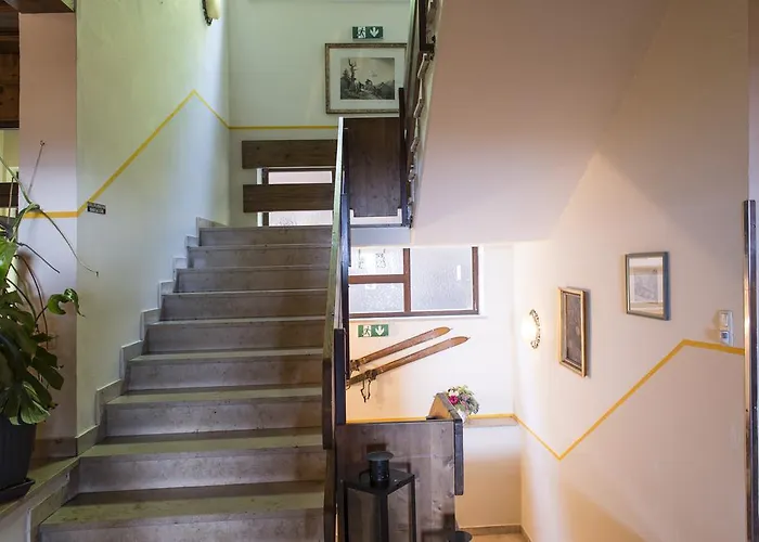 Hotel Berghotel Predigstuhl