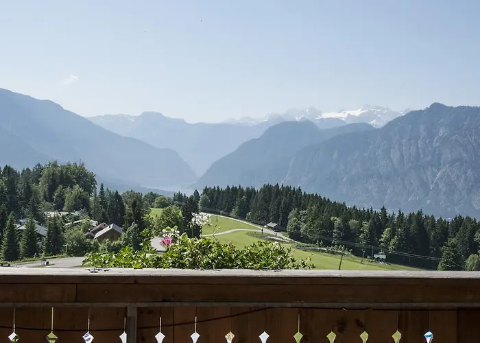 Hotel Berghotel Predigstuhl 3*