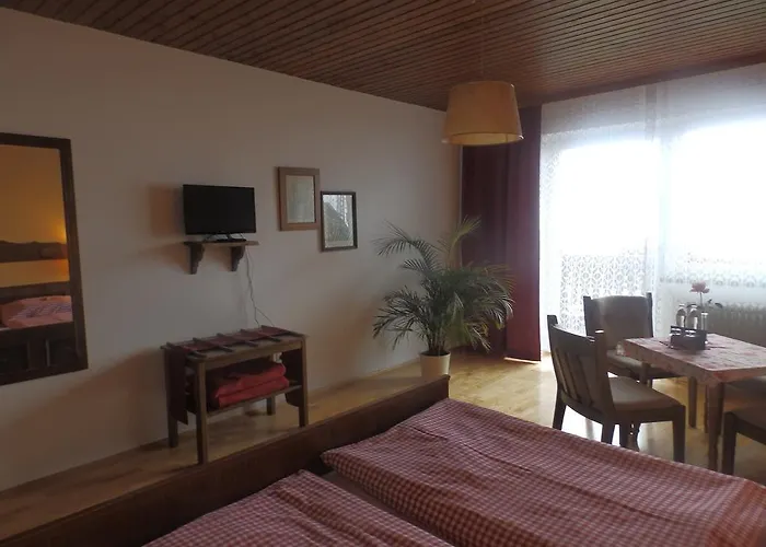 Hotel Berghotel Predigstuhl 3*