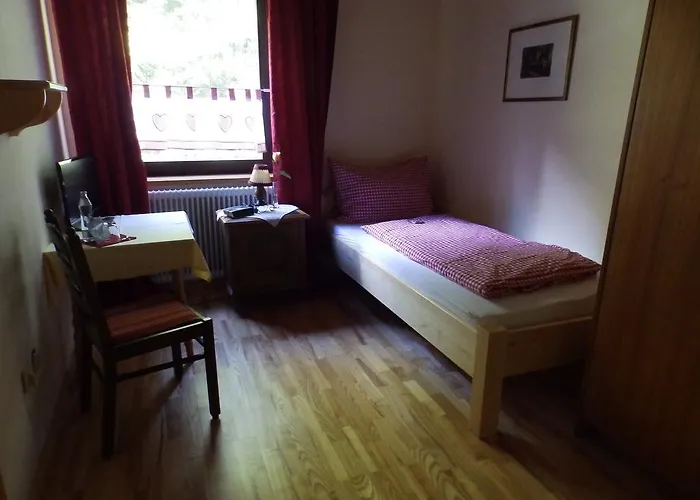 Berghotel Predigstuhl 3*