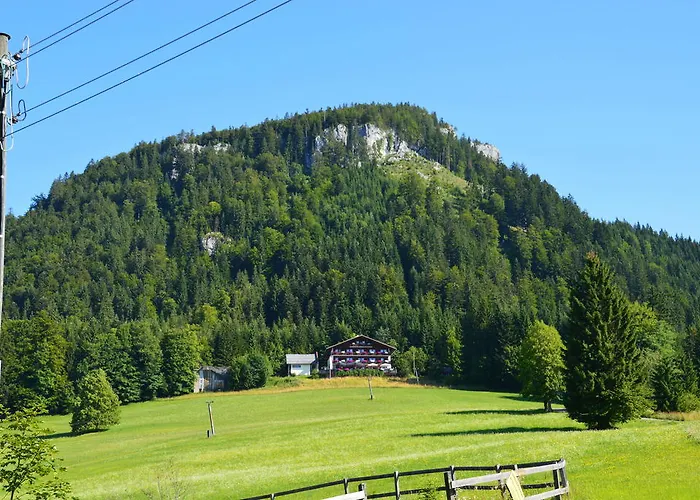 Hotel Berghotel Predigstuhl
