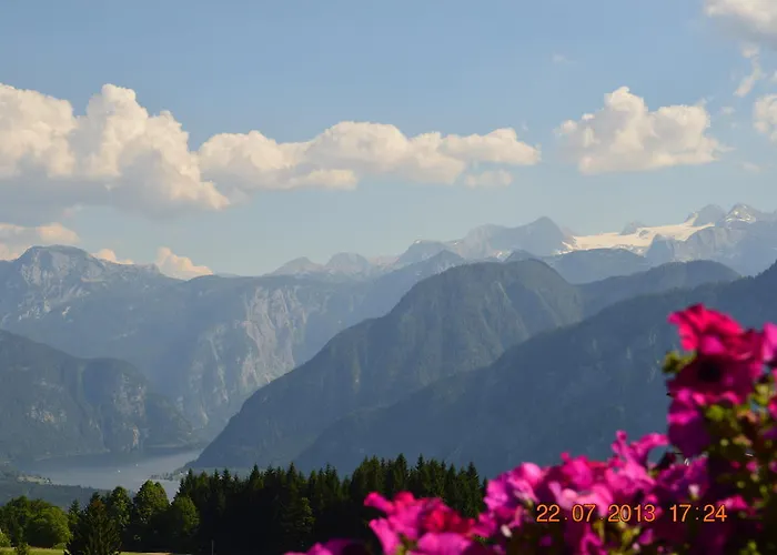 Berghotel Predigstuhl 3*