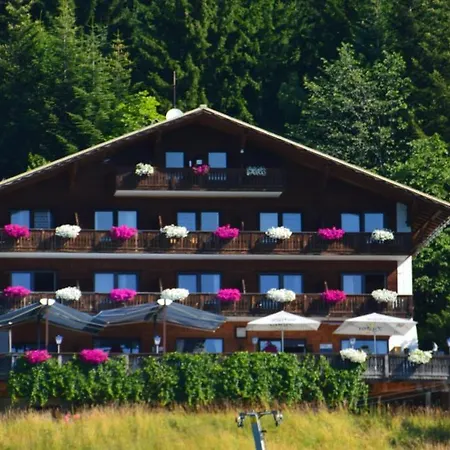Berghotel Predigstuhl Hotel 3*