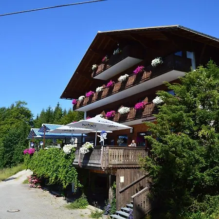 Berghotel Predigstuhl Hotel