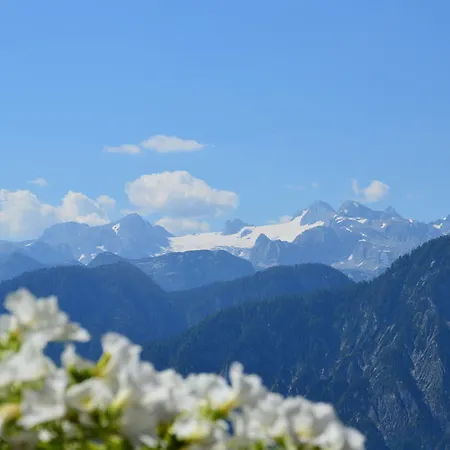 Berghotel Predigstuhl Bad Goisern am Hallstättersee